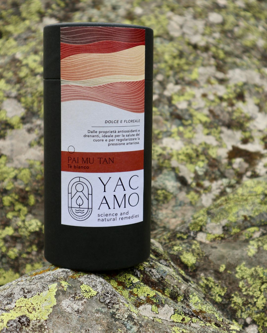 Tè bianco Pai Mu Tan