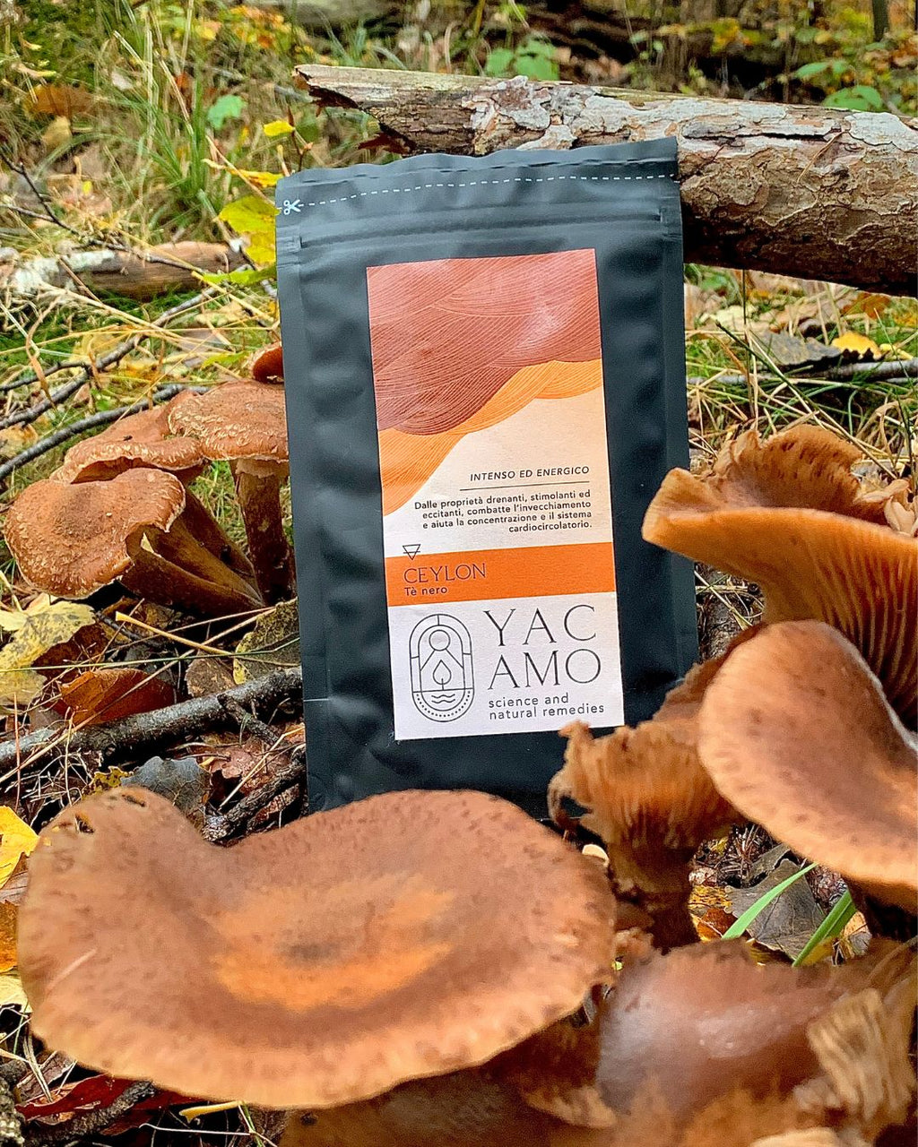 Tè nero Ceylon Yacamo confezione 50 gr sfuso con sfondo autunnale