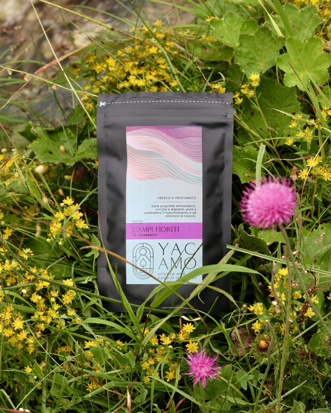 Tè verde e bianco Campi Fioriti confezione con sfondo 50gr 